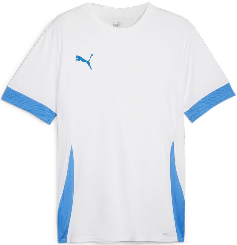 Dres Puma teamGOAL Matchday Jersey Siva | 705747-12
