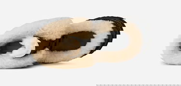 Tenisice i cipele UGG UGG Classic Esmee Leather Boots Crna | 1176110-BLK, 5