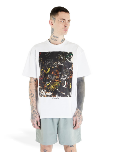 Majica kratkih rukava Nike ACG Short Sleeve T-Shirt Bijela | DX9448-100