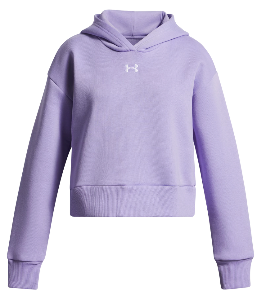 Dukserice Under Armour Rival Fleece Hoodie Ljubičasta | 1379517-538