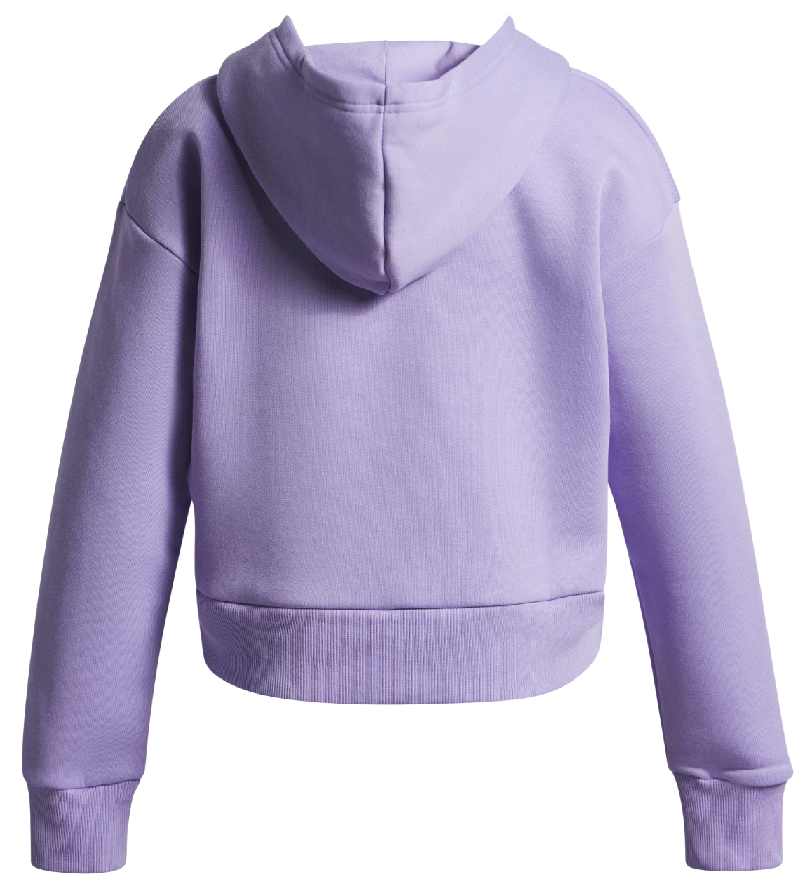Dukserice Under Armour Rival Fleece Hoodie Ljubičasta | 1379517-538, 1