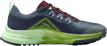 Tenisice i cipele Nike Pegasus Trail 4 Višebojno | dj6159-403, 2