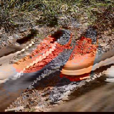Tenisice i cipele adidas Performance adidas TERREX Crvena | IE8455, 5