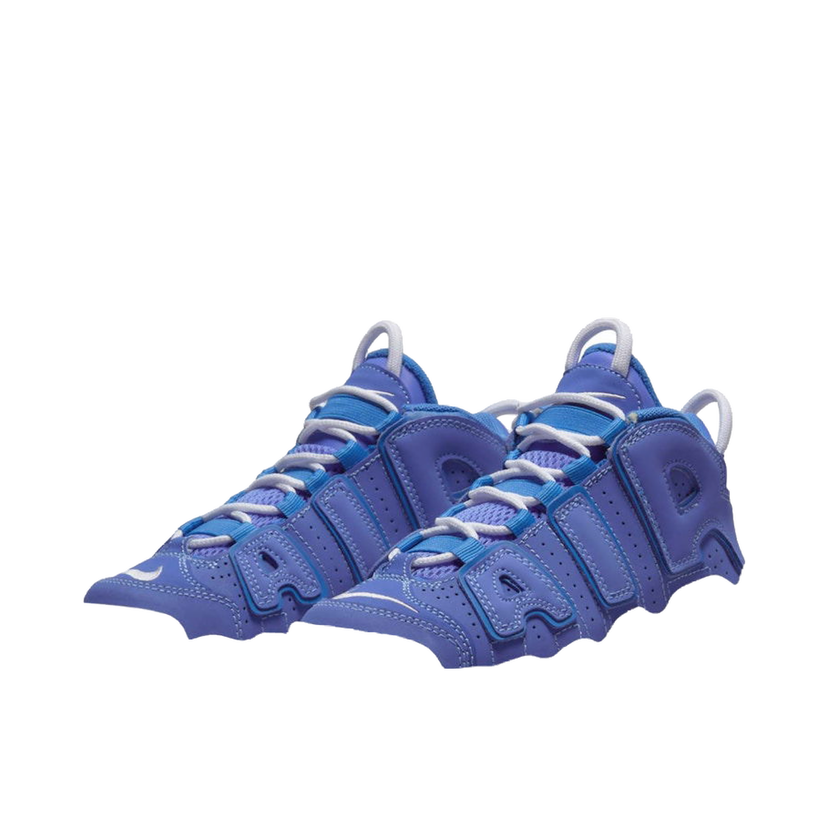Tenisice i cipele Nike Air More Uptempo Ljubičasta | DM1026-400